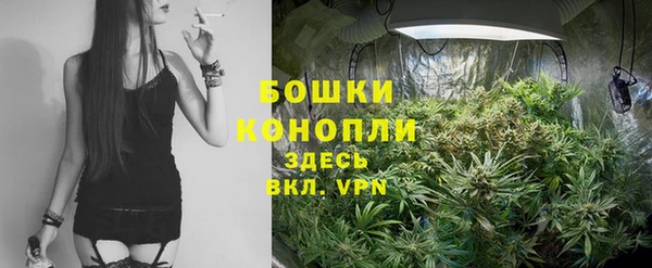 spice Алексеевка